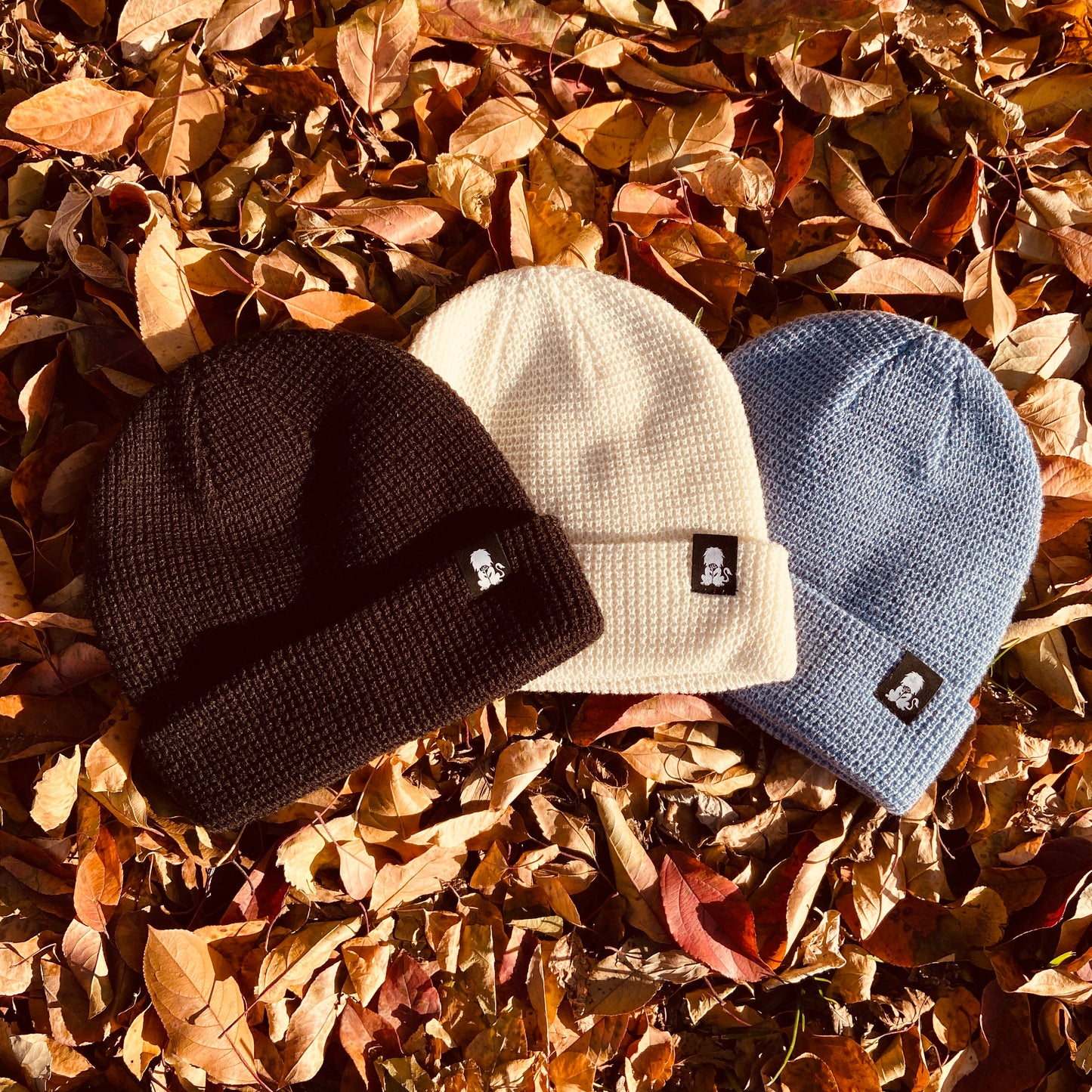 Rosas León Beanie 3-Pack